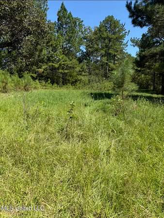 15.3 Acres of Recreational & Residential Land for Sale in Kosciusko, Mississippi