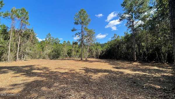 5 Acres of Land for Sale in Saucier, Mississippi