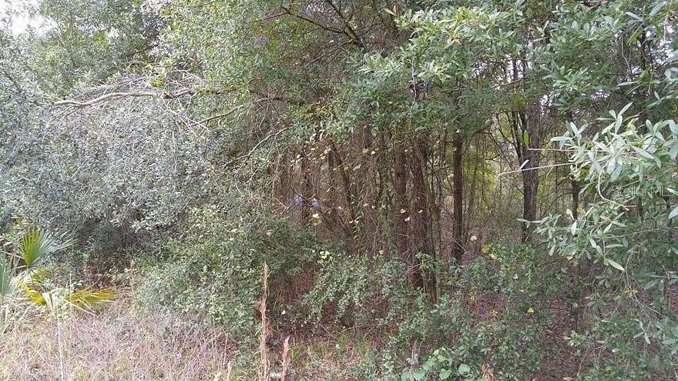 3.26 Acres of Land for Sale in Land O' Lakes, Florida