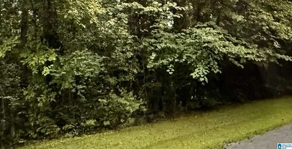 Residential Land for Sale in Childersburg, Alabama