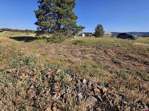 0.23 Acres of Residential Land for Sale in Pagosa Springs, Colorado