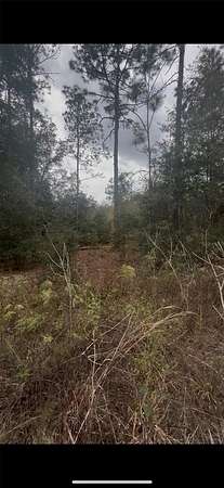 0.23 Acres of Residential Land for Sale in Ocala, Florida