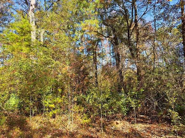 1.2 Acres of Residential Land for Sale in Wewahitchka, Florida