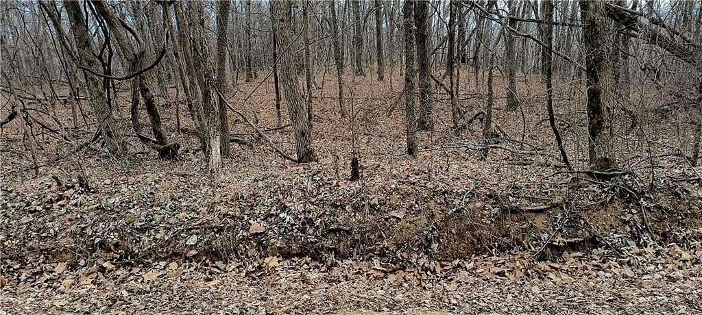 0.46 Acres of Residential Land for Sale in Rogers, Arkansas