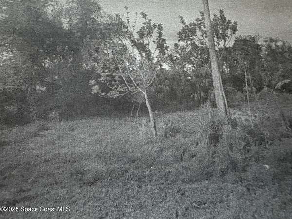 0.3 Acres of Residential Land for Sale in Vero Beach, Florida