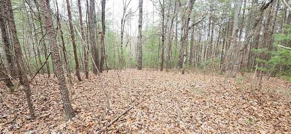 6.88 Acres of Residential Land for Sale in Tallulah Falls, Georgia