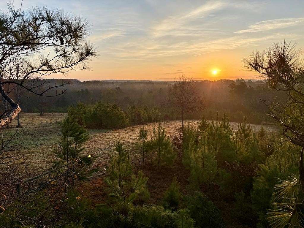 41.7 Acres of Recreational Land & Farm for Sale in Coffeeville, Mississippi