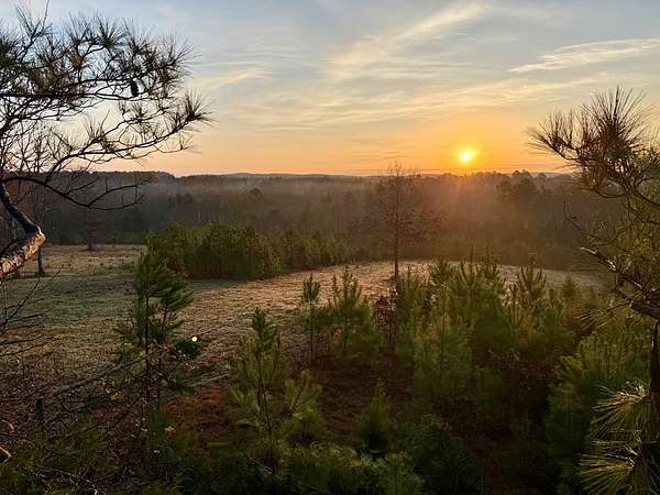 41.7 Acres of Recreational Land & Farm for Sale in Coffeeville, Mississippi