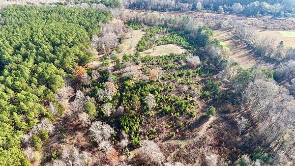 41.7 Acres of Recreational Land for Sale in Coffeeville, Mississippi