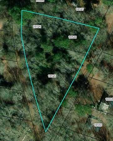 1 Acre of Residential Land for Sale in Chireno, Texas