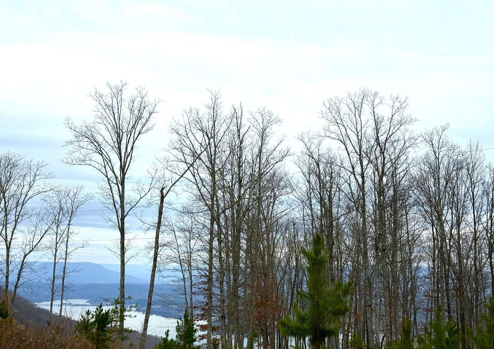 6.34 Acres of Residential Land for Sale in South Pittsburg, Tennessee