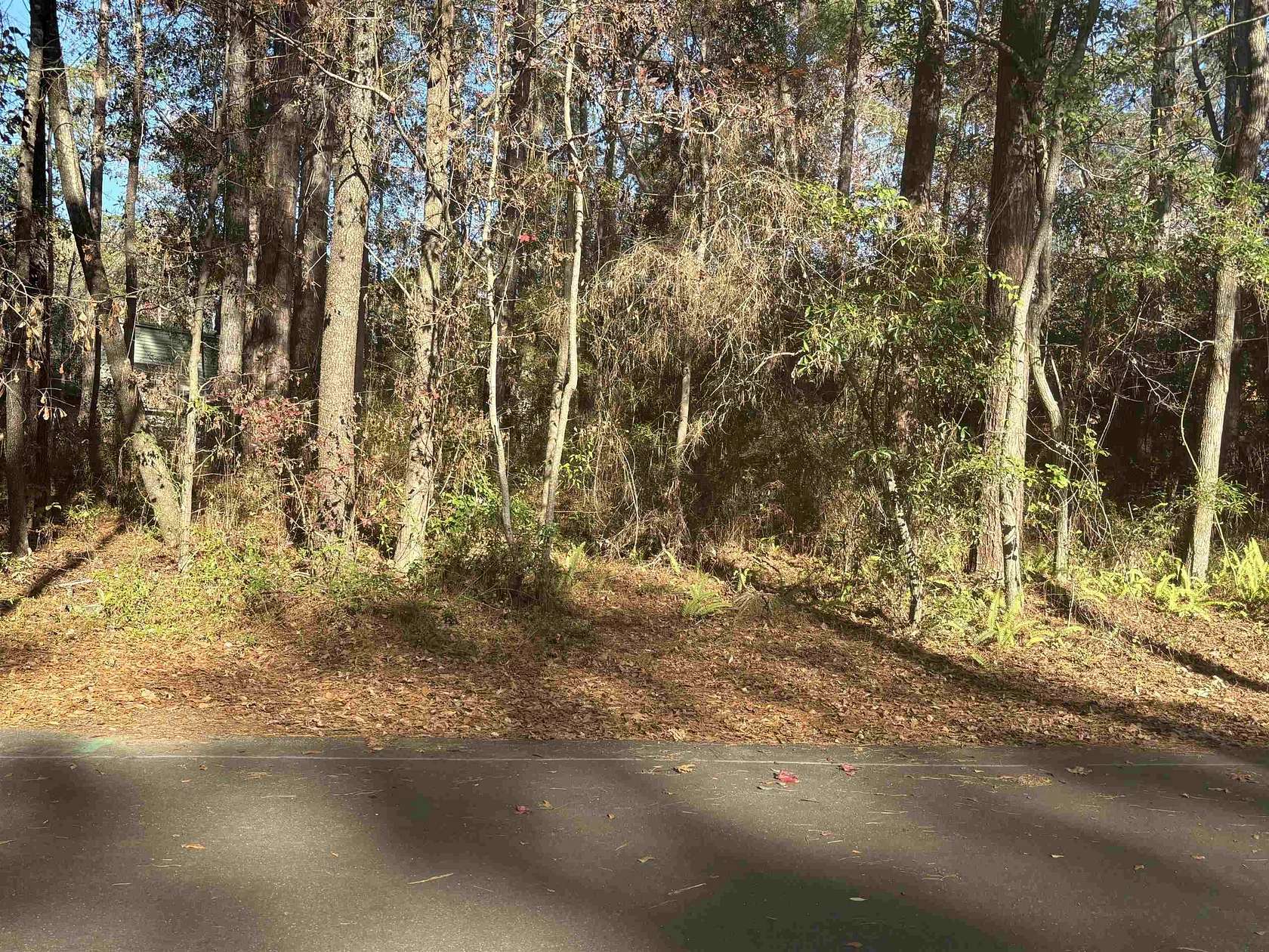 0.33 Acres of Residential Land for Sale in Tallahassee, Florida