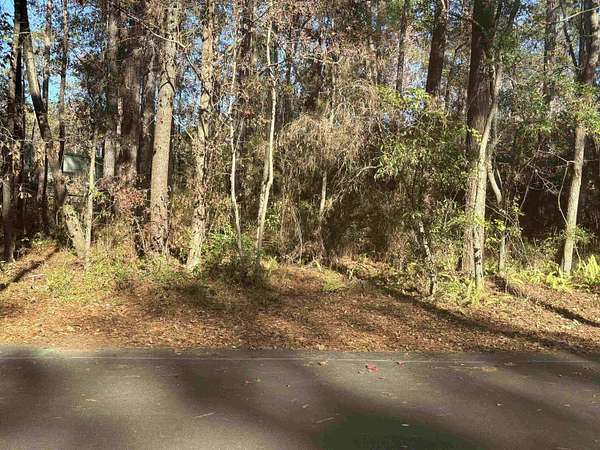 0.33 Acres of Residential Land for Sale in Tallahassee, Florida