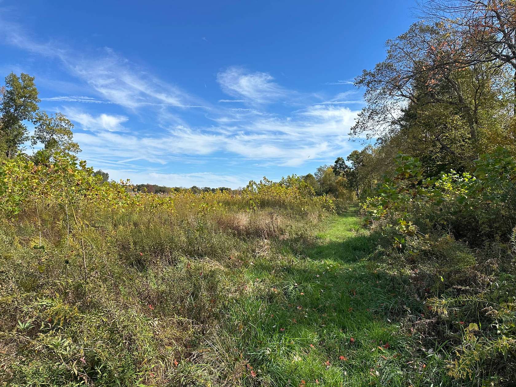 136 Acres of Recreational Land for Sale in Patricksburg, Indiana
