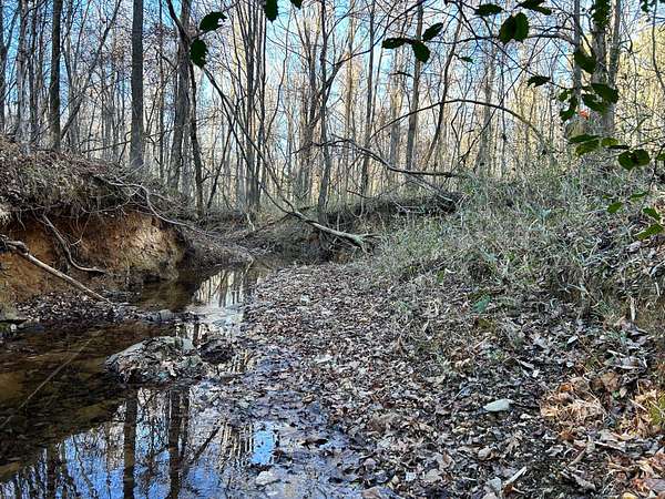 533 Acres of Recreational Land for Sale in Lancaster, South Carolina