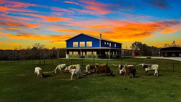 90.5 Acres of Agricultural Land with Home for Sale in Buffalo, Texas