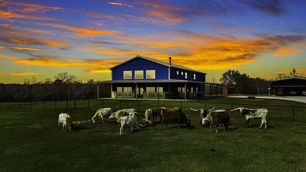 90.5 Acres of Agricultural Land with Home for Sale in Buffalo, Texas