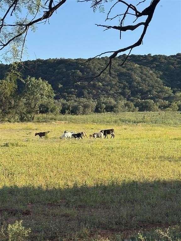 40.2 Acres of Land with Home for Sale in Merkel, Texas