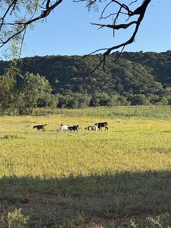 40.2 Acres of Land with Home for Sale in Merkel, Texas