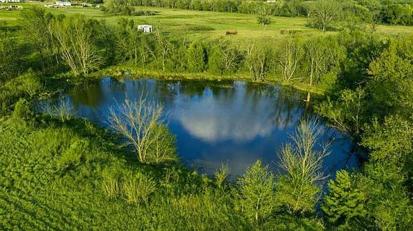 12.8 Acres of Land for Sale in Wills Point, Texas