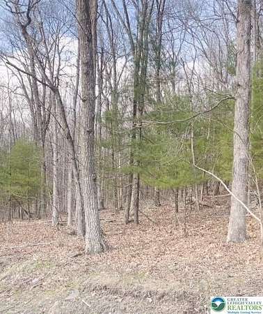 1 Acre of Residential Land for Sale in Cresco, Pennsylvania