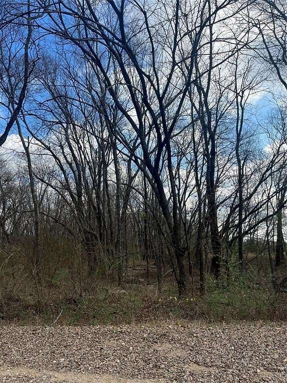 0.29 Acres of Land for Sale in Roxton, Texas