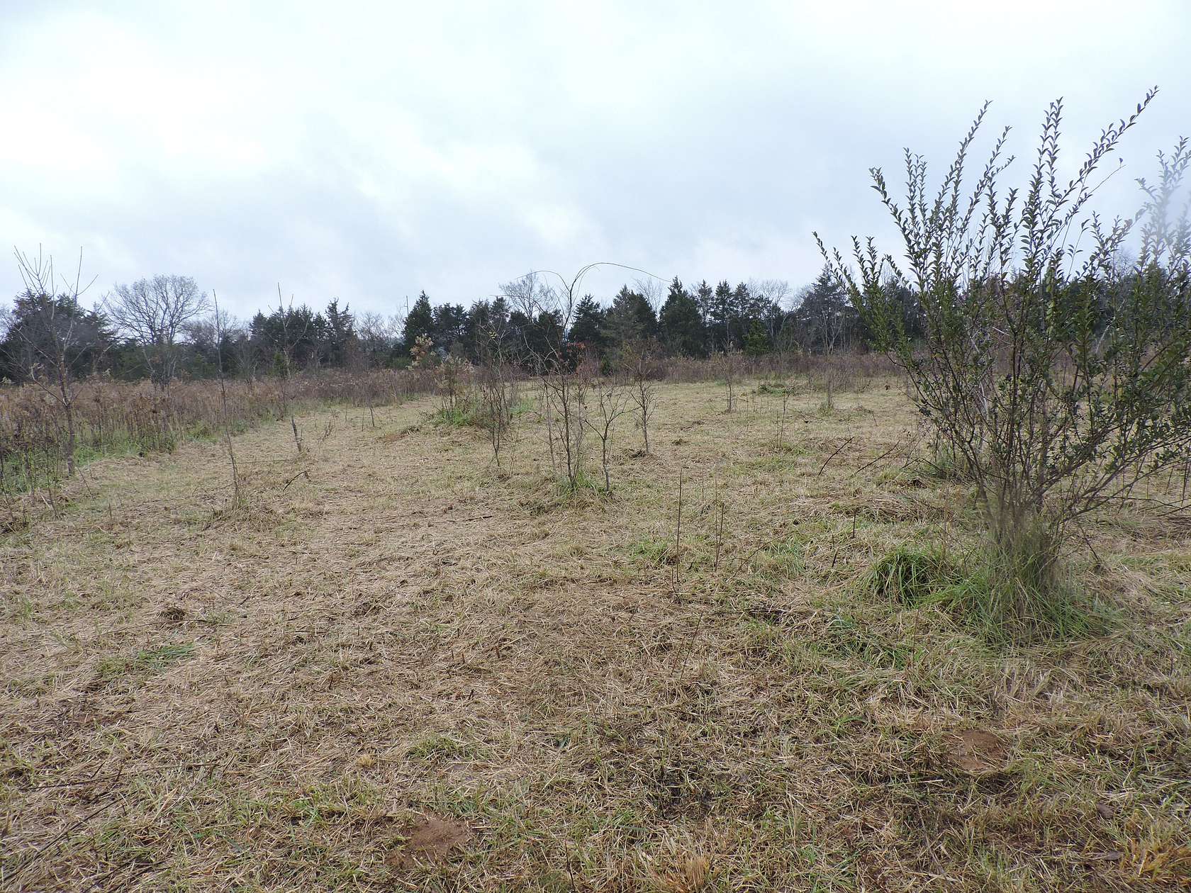 15 Acres of Land for Sale in Waldron, Arkansas