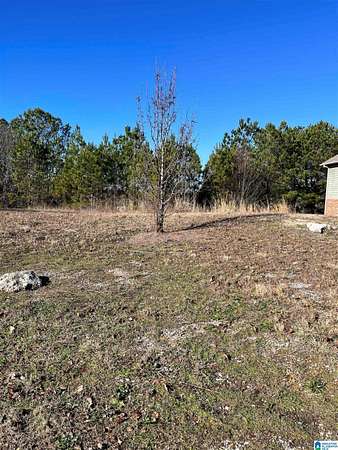 0.32 Acres of Residential Land for Sale in Calera, Alabama
