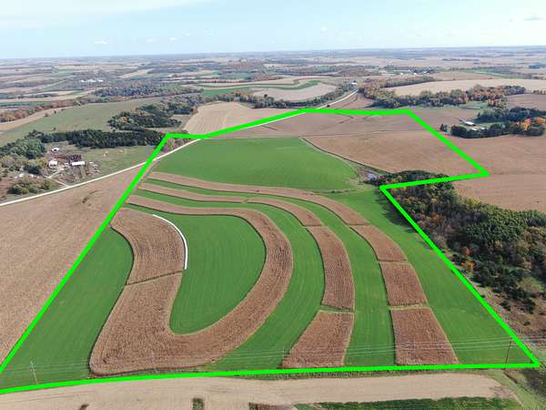 146 Acres of Agricultural Land for Sale in Lanesboro, Minnesota