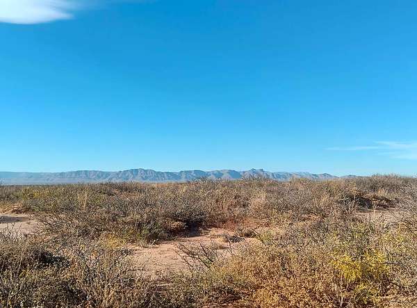 10.1 Acres of Land for Sale in Van Horn, Texas