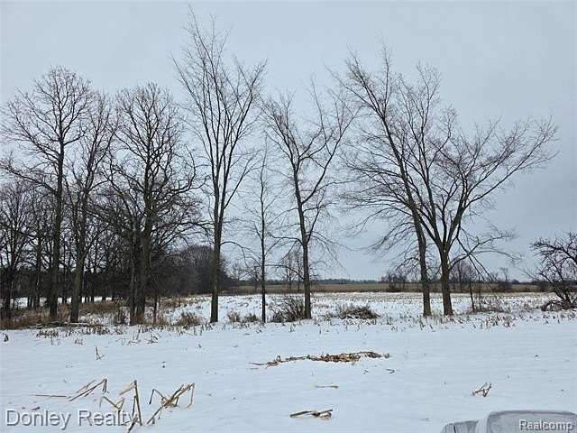 57.4 Acres of Agricultural Land for Sale in Sanilac Township, Michigan