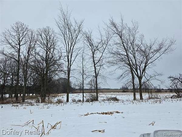 57.4 Acres of Agricultural Land for Sale in Sanilac Township, Michigan