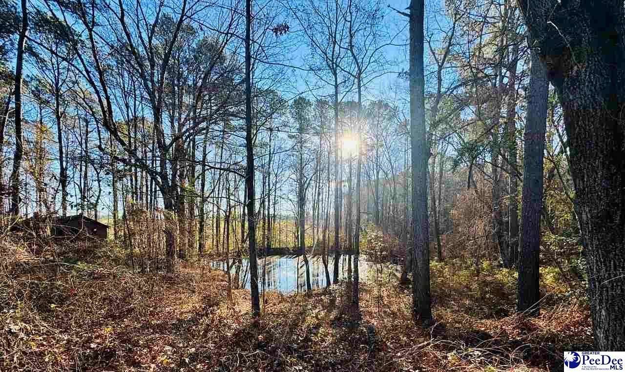 8.4 Acres of Residential Land for Sale in Chesterfield, South Carolina