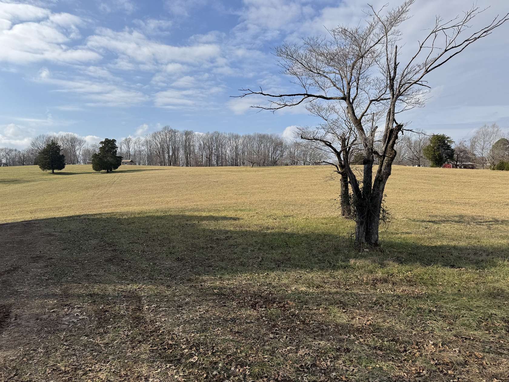 17.8 Acres of Agricultural Land for Sale in Dickson, Tennessee