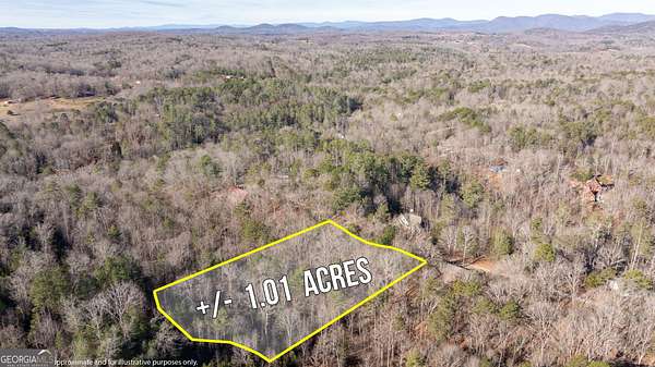 1 Acre of Residential Land for Sale in Cleveland, Georgia