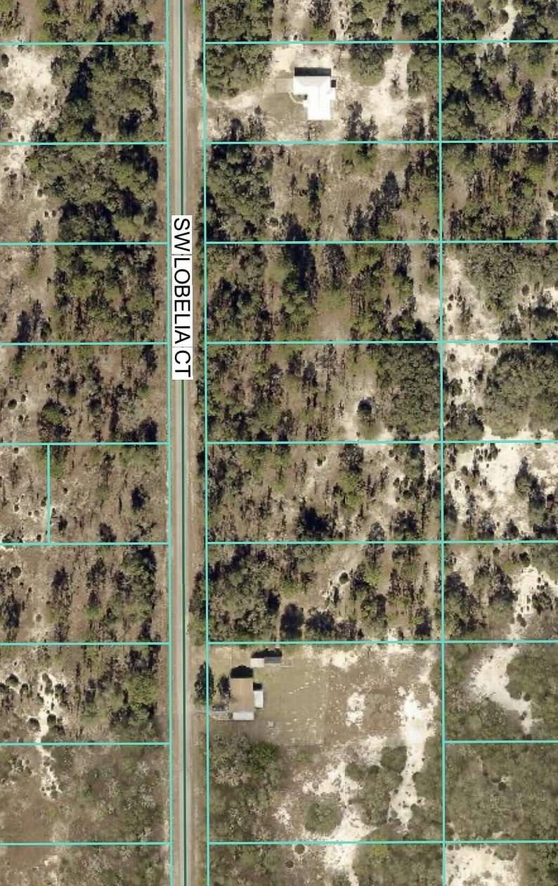 0.99 Acres of Residential Land for Sale in Dunnellon, Florida