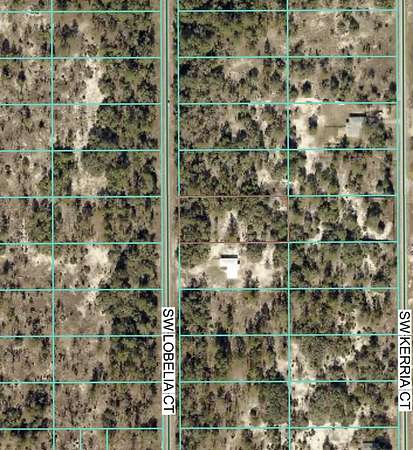 0.99 Acres of Residential Land for Sale in Dunnellon, Florida