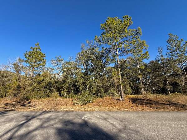 0.99 Acres of Residential Land for Sale in Dunnellon, Florida
