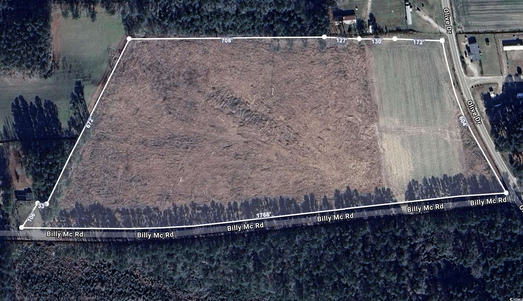 20.8 Acres of Land for Sale in Green Sea, South Carolina