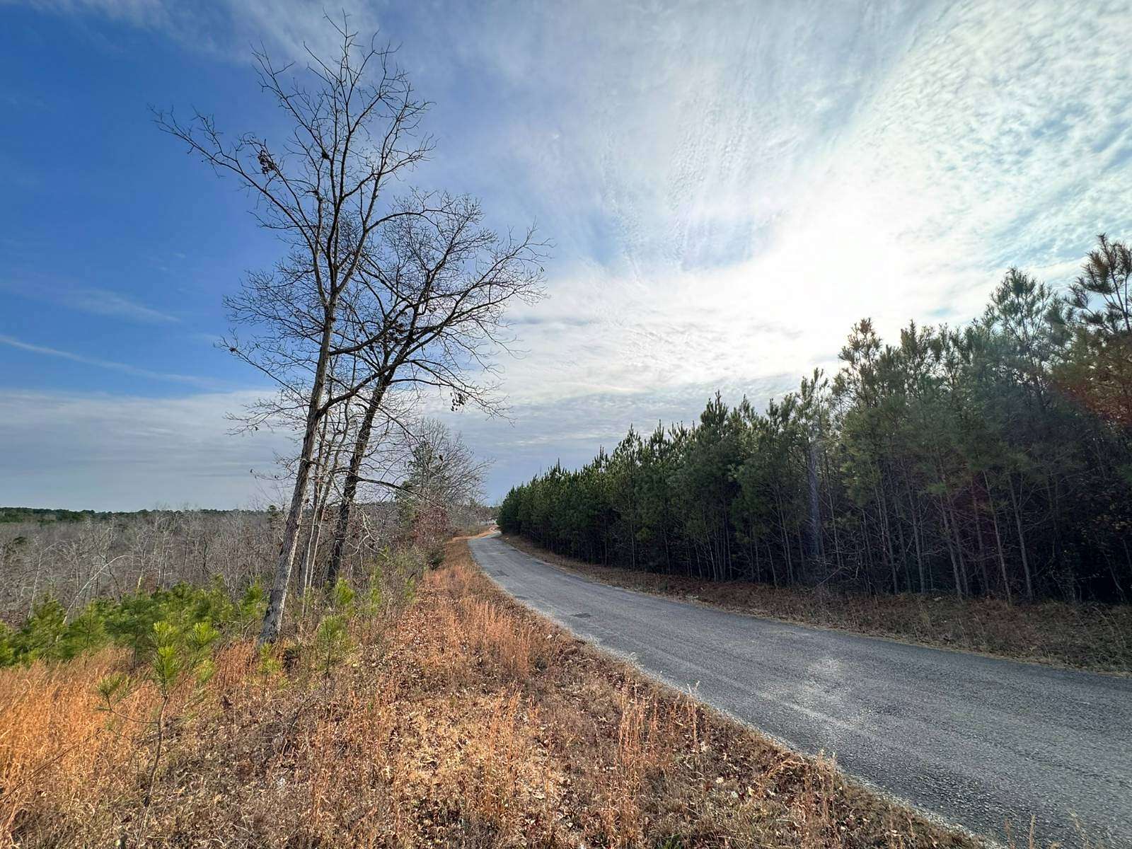 15 Acres of Recreational Land for Sale in Haleyville, Alabama
