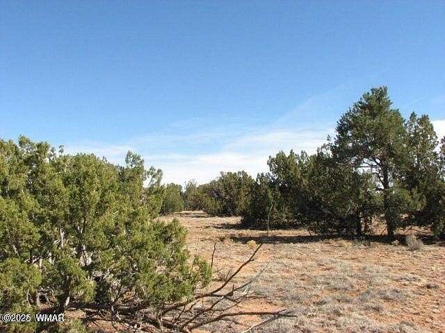 2.3 Acres of Residential Land for Sale in Heber, Arizona