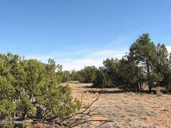 2.3 Acres of Residential Land for Sale in Heber, Arizona