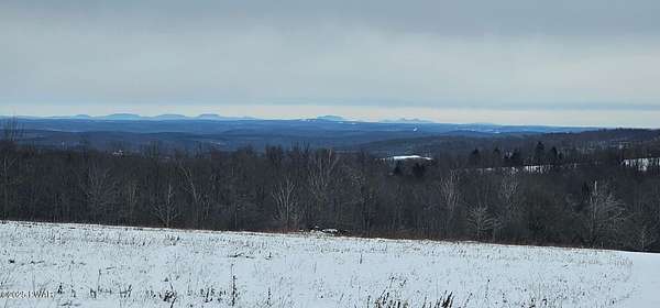 4.45 Acres of Residential Land for Sale in Pleasant Mount, Pennsylvania