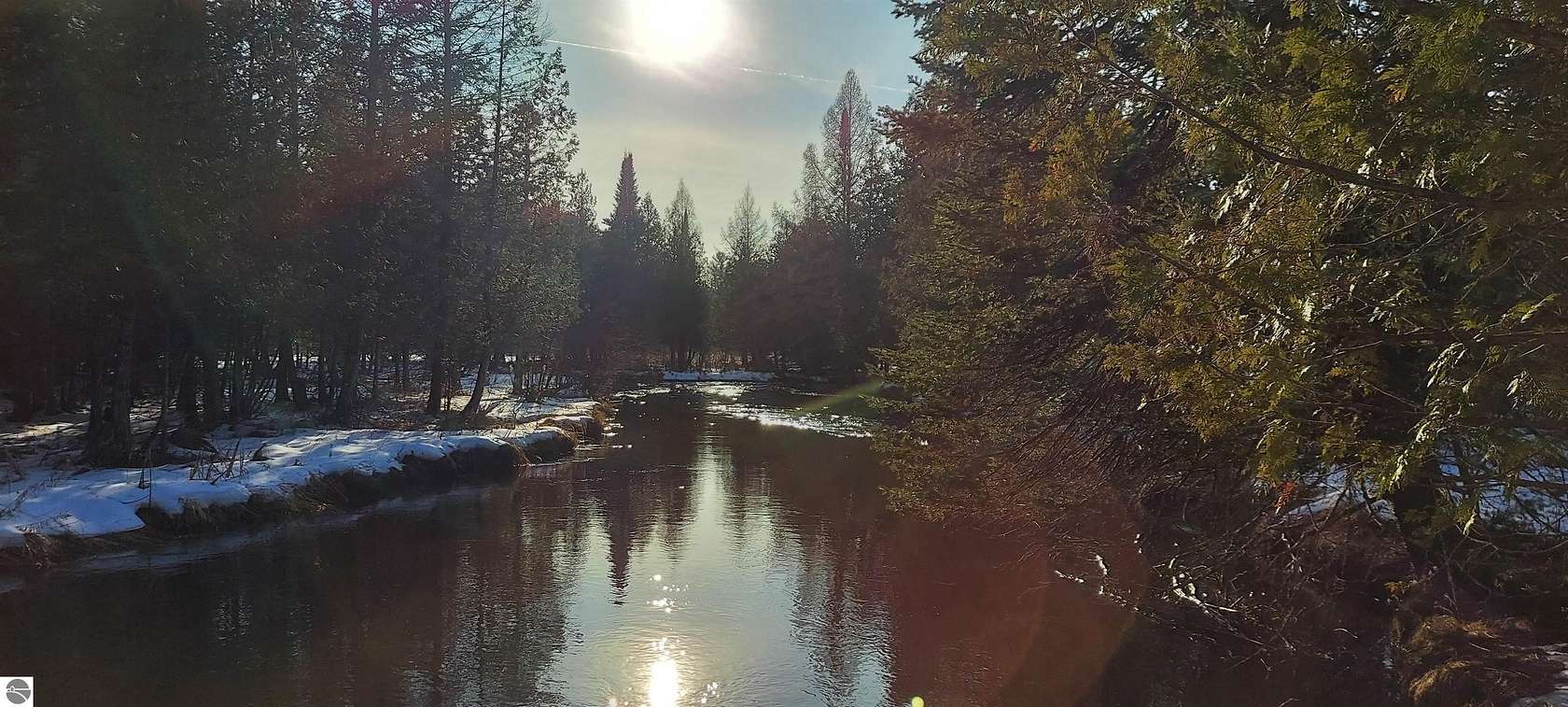 37 Acres of Recreational Land for Sale in Bellaire, Michigan