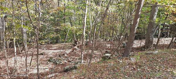 0.4 Acres of Land for Sale in Bushkill, Pennsylvania