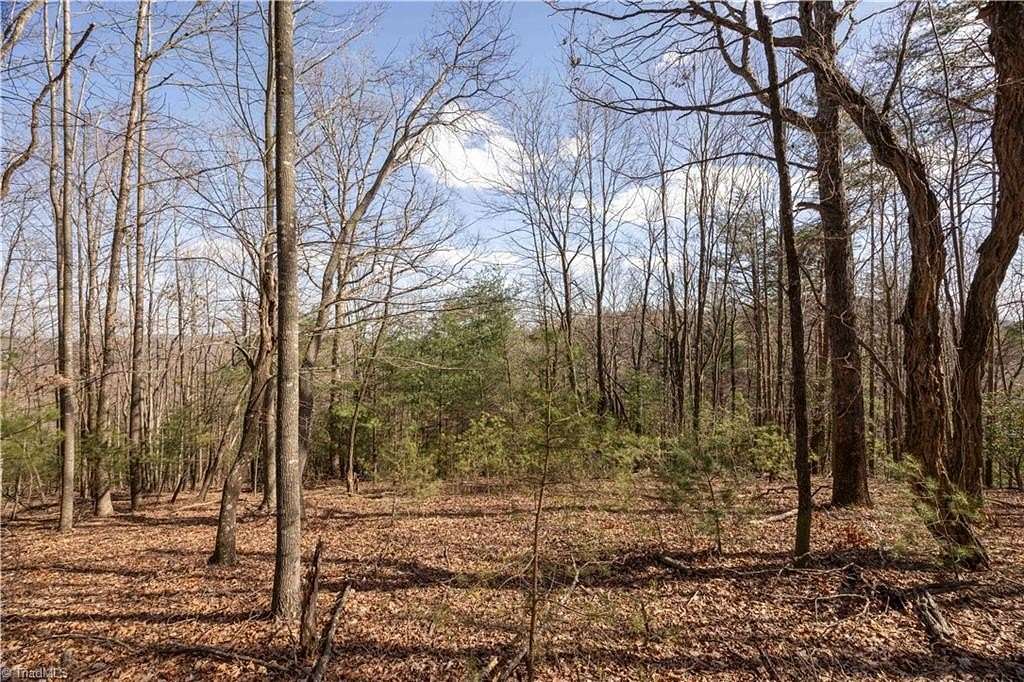 10.6 Acres of Recreational Land for Sale in McGrady, North Carolina