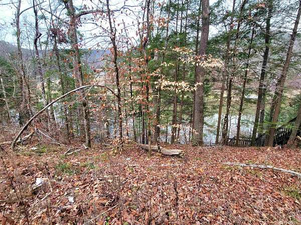 0.5 Acres of Land for Sale in Arley, Alabama