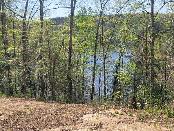 0.5 Acres of Land for Sale in Arley, Alabama