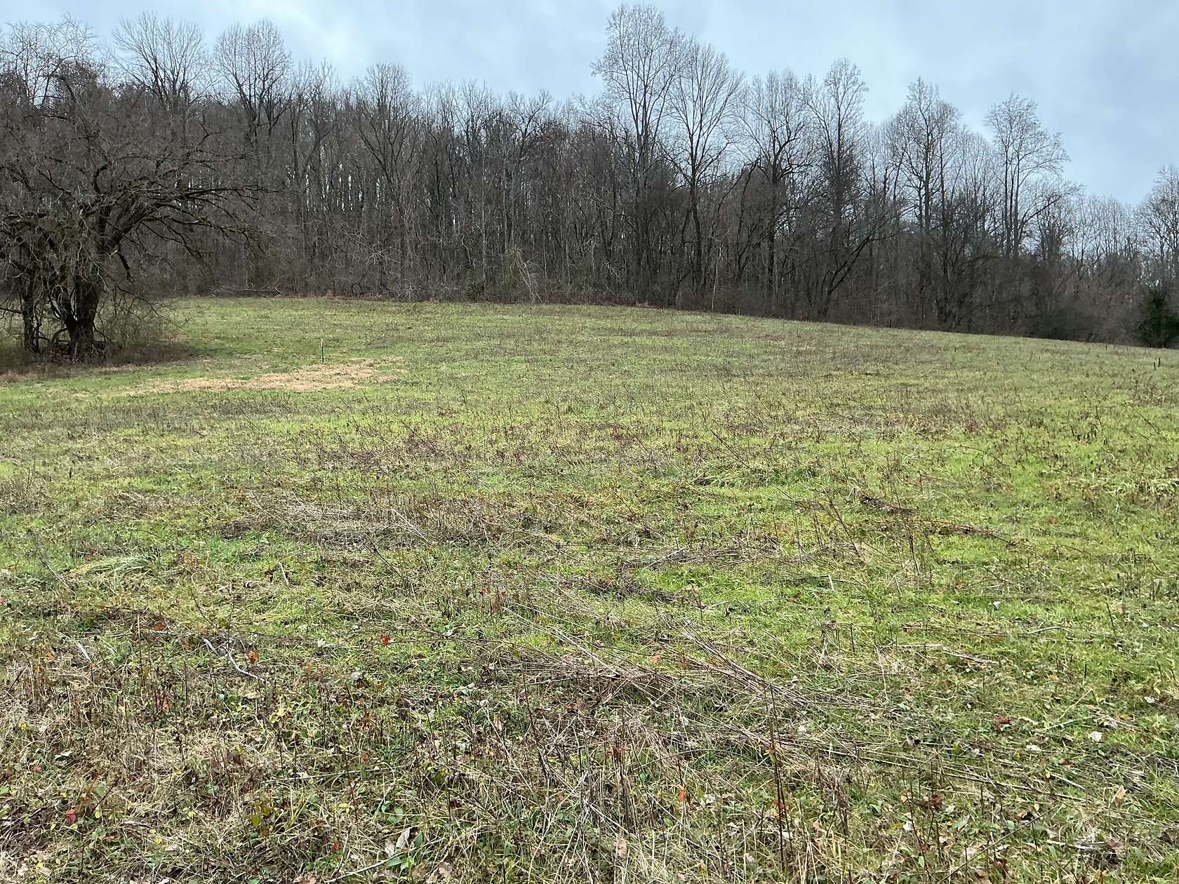37.6 Acres of Recreational Land for Sale in Normandy, Tennessee
