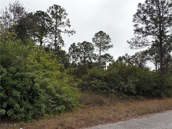0.5 Acres of Land for Sale in Lehigh Acres, Florida